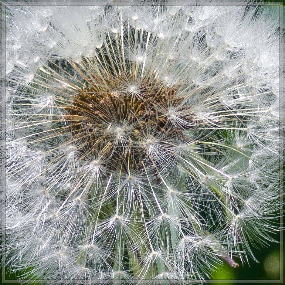 20150514 0137 [NIKON 1 v3] 70 mm,1 320 Sek. bei ƒ   5,6 2