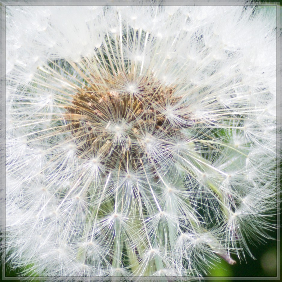 20150514 0137 [NIKON 1 v3] 70 mm,1 320 Sek. bei ƒ   5,6