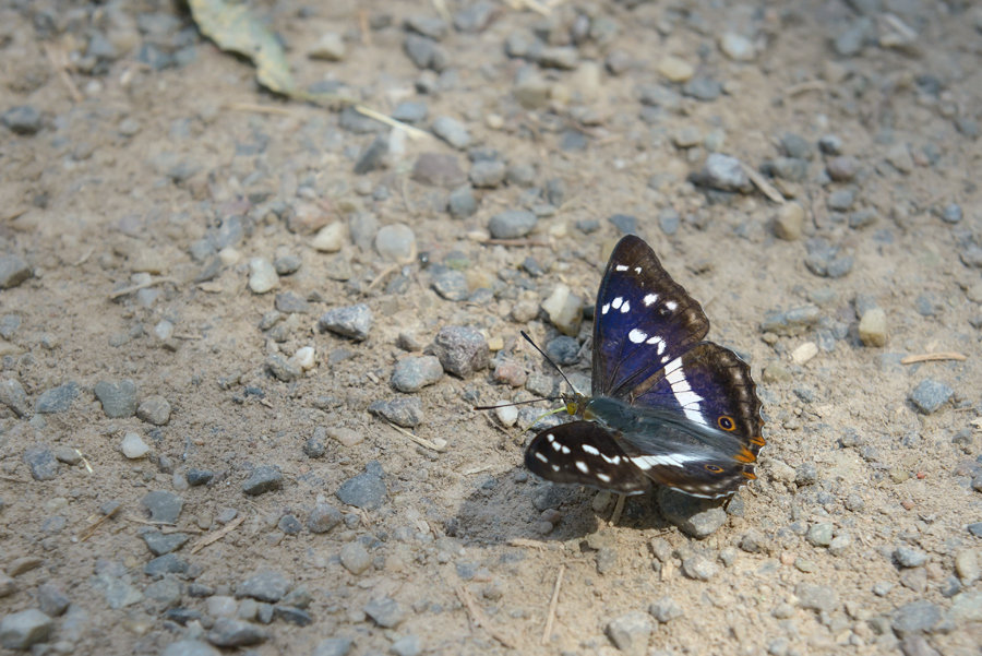 20150706 121021 web