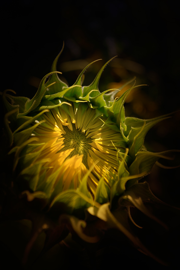 20150727 190705 1