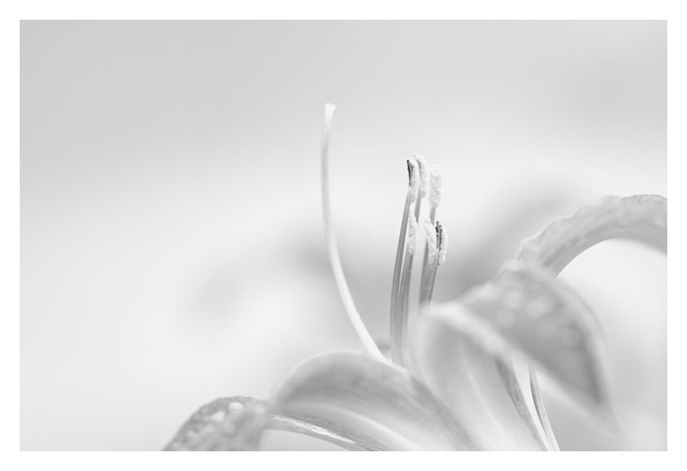 20150729 184917 3