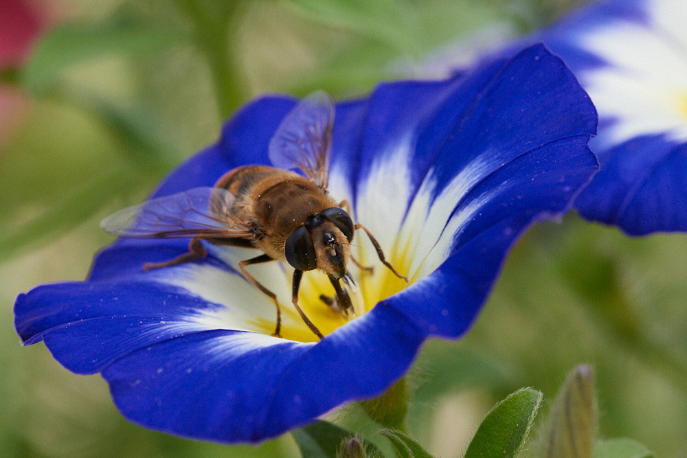 20150802 141429