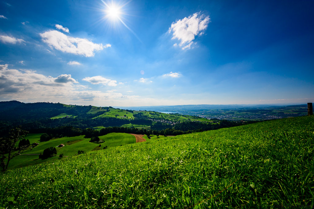 20150802 DSC5225