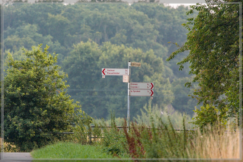 20150807 3491 [NIKON 1 V3] 300 mm,1 160 Sek. bei ƒ   4,0