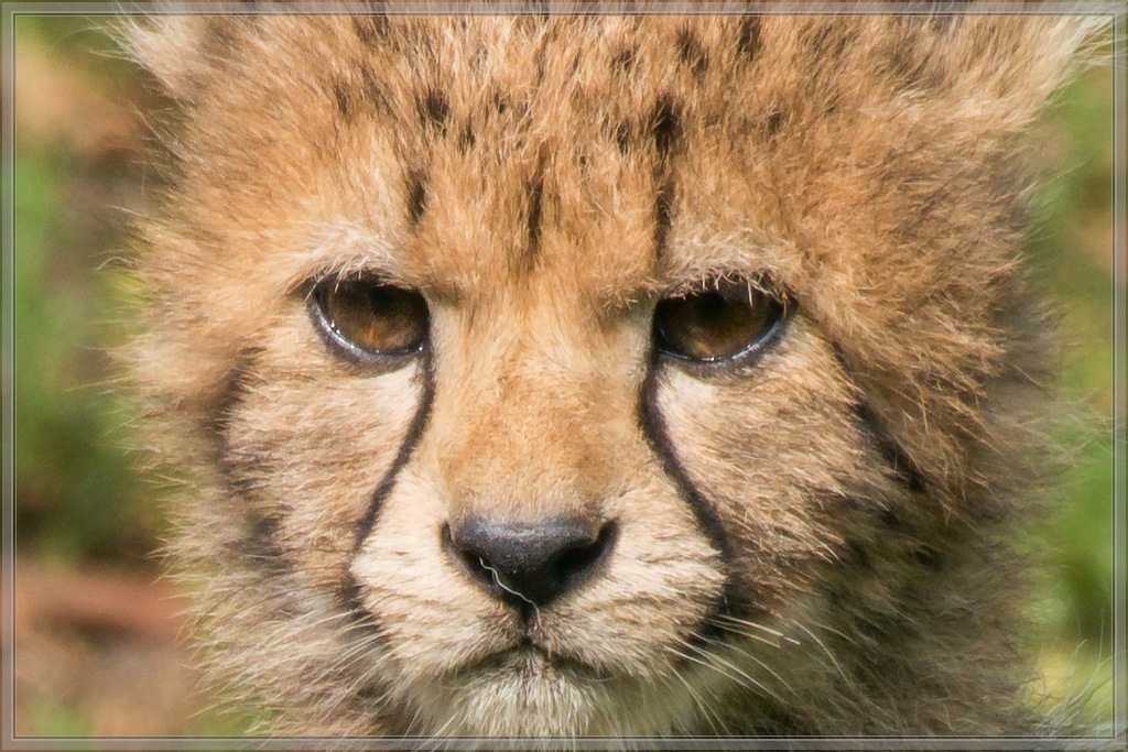 20150808 1274 [NIKON 1 J5] 300 mm,1 400 Sek. bei ƒ   5,6 2