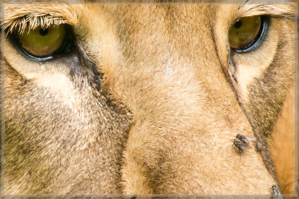 20150808 1328 [NIKON 1 J5] 300 mm,1 160 Sek. bei ƒ   5,6 2