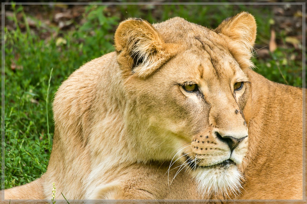 20150808 1328 [NIKON 1 J5] 300 mm,1 160 Sek. bei ƒ   5,6