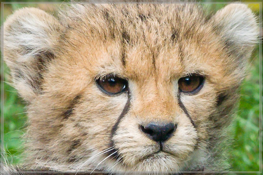 20150808 3510 [NIKON 1 V3] 300 mm,1 320 Sek. bei ƒ   4,0 2