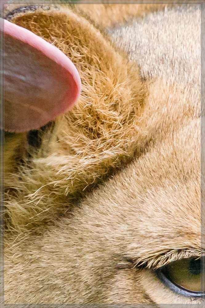 20150808 4049 [NIKON 1 V3] 300 mm,1 400 Sek. bei ƒ   4,0 2