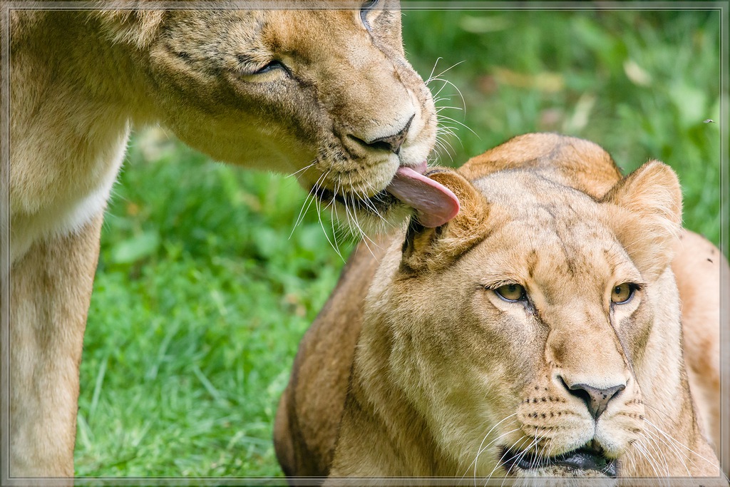 20150808 4049 [NIKON 1 V3] 300 mm,1 400 Sek. bei ƒ   4,0