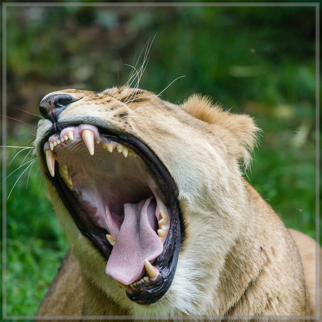 20150808 4077 [NIKON 1 V3] 300 mm,1 500 Sek. bei ƒ   4,0