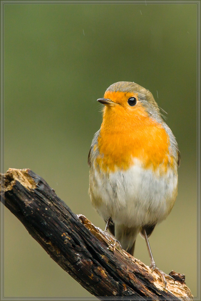 20150816 3882 [NIKON 1 V3] 300 mm,1 250 Sek. bei ƒ   4,0