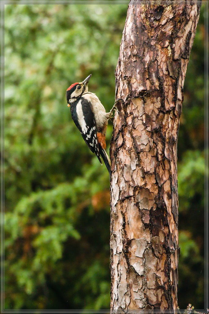 20150816 3943 [NIKON 1 V3] 300 mm,1 320 Sek. bei ƒ   4,0