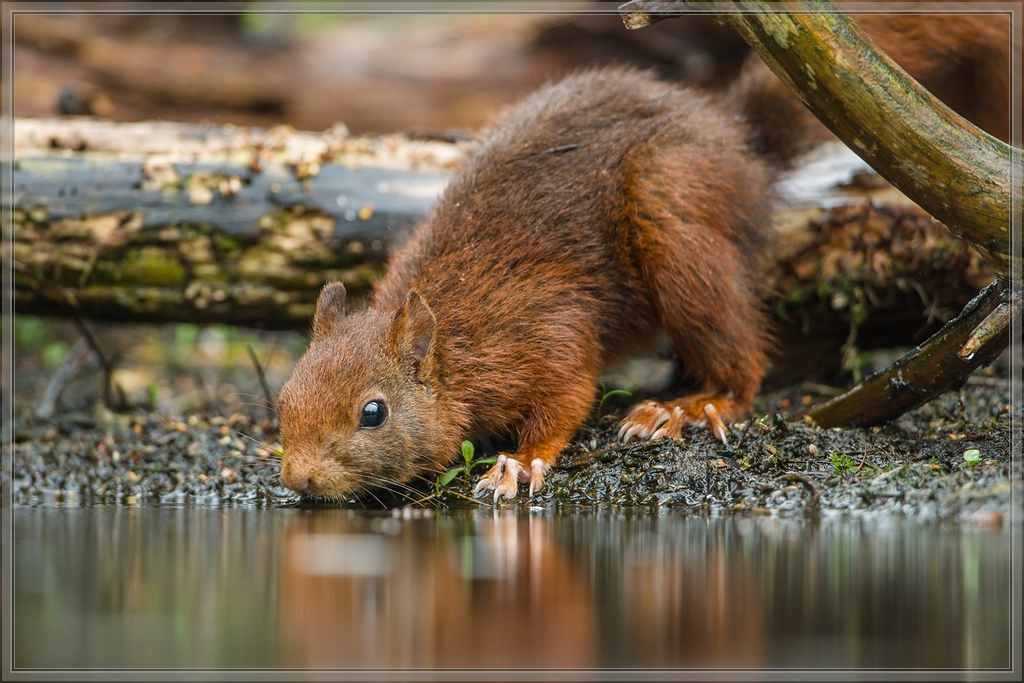 20150816 7001 [NIKON D810] 600 mm,1 250 Sek. bei ƒ   4,0