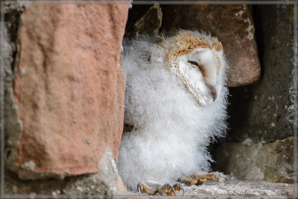 20150822 6060 [NIKON D4] 300 mm,1 1000 Sek. bei ƒ   5,0