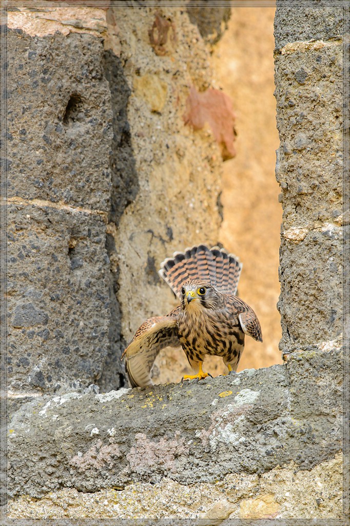 20150822 6461 [NIKON D4] 300 mm,1 160 Sek. bei ƒ   5,0