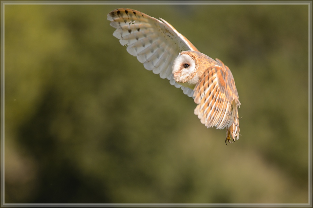 20150822 6619 [NIKON D4] 300 mm,1 1250 Sek. bei ƒ   4,0