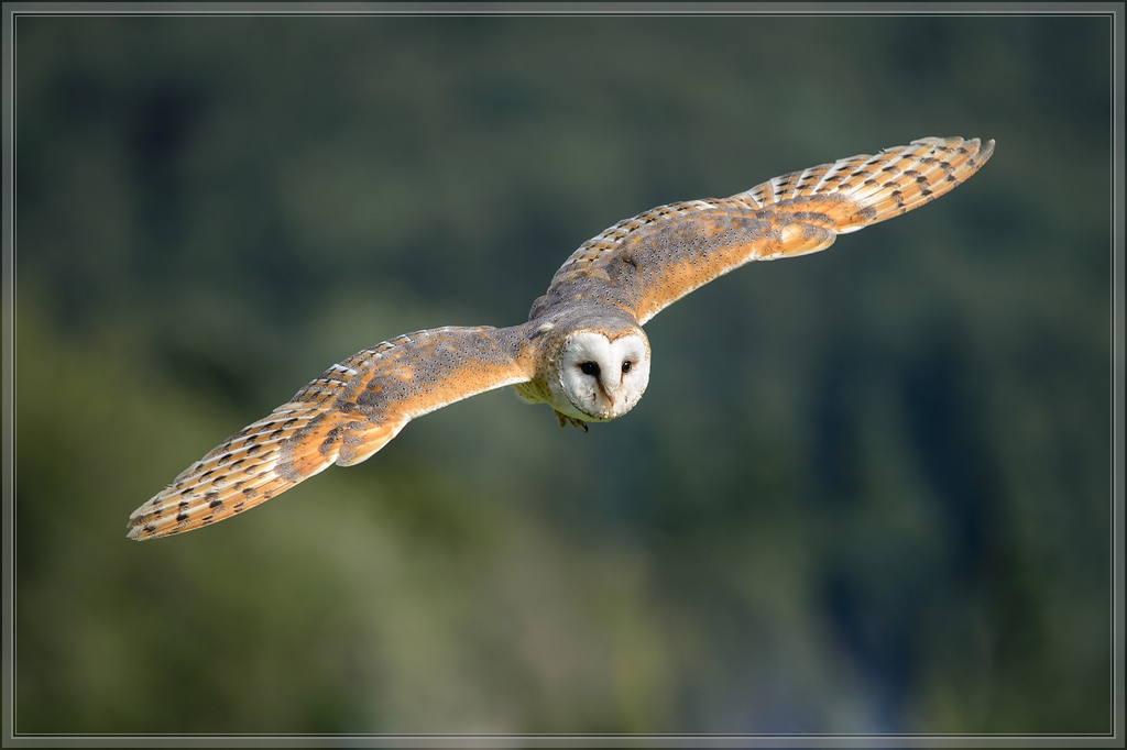 20150822 6715 [NIKON D4] 300 mm,1 1250 Sek. bei ƒ   4,0