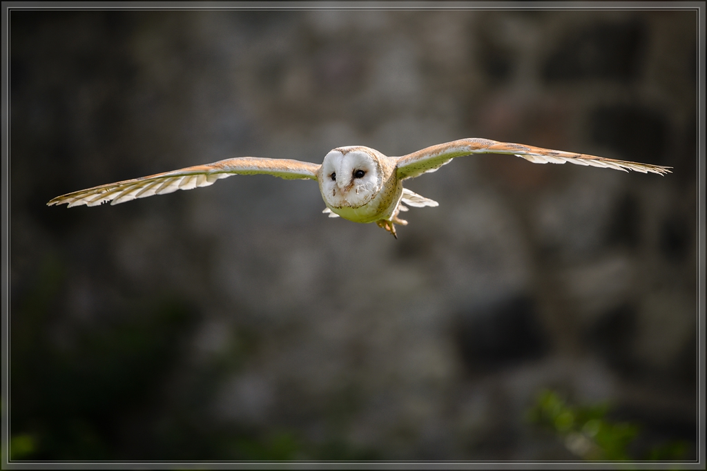20150822 7619 [NIKON D4] 300 mm,1 1250 Sek. bei ƒ   4,0