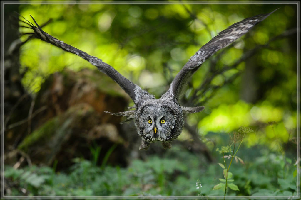 20150822 7876 [NIKON D4] 300 mm,1 320 Sek. bei ƒ   4,0