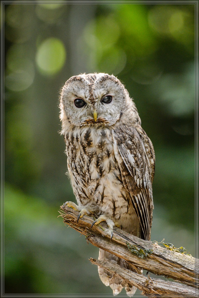 20150822 8210 [NIKON D4] 400 mm,1 500 Sek. bei ƒ   5,6