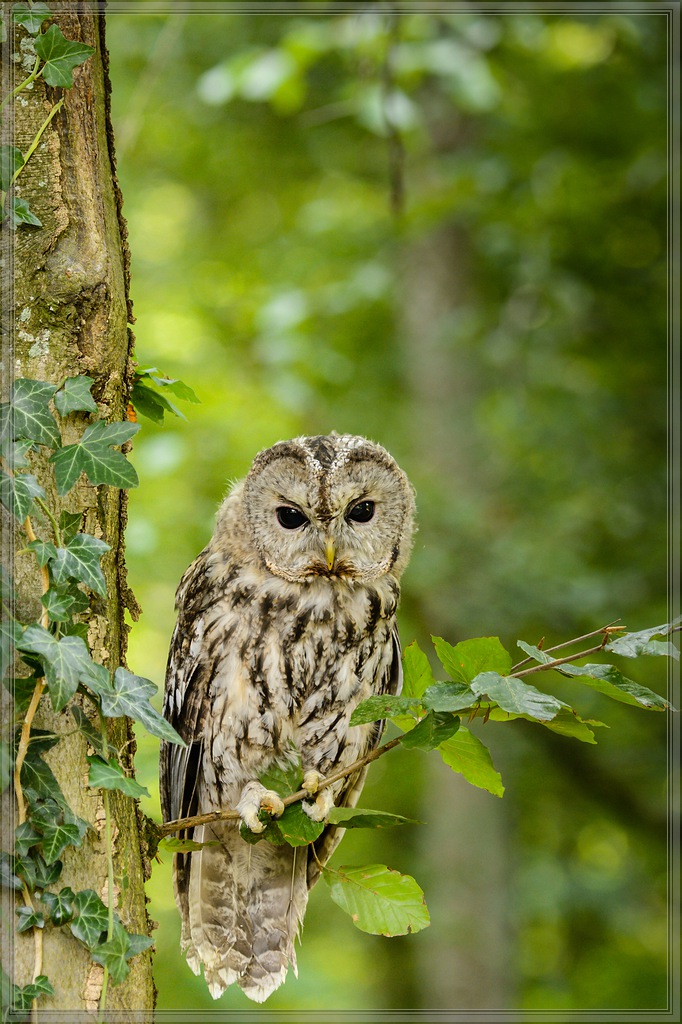 20150822 8244 [NIKON D4] 180 mm,1 125 Sek. bei ƒ   5,6