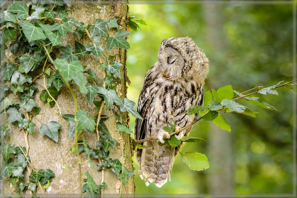 20150822 8245 [NIKON D4] 180 mm,1 160 Sek. bei ƒ   5,6