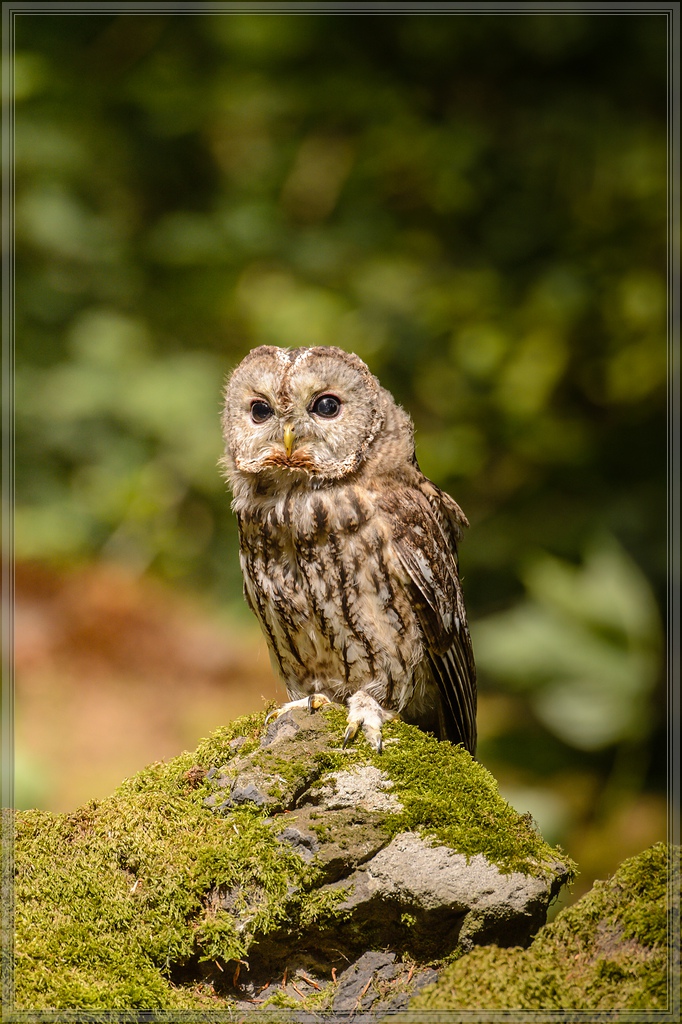 20150822 8273 [NIKON D4] 400 mm,1 1600 Sek. bei ƒ   5,6