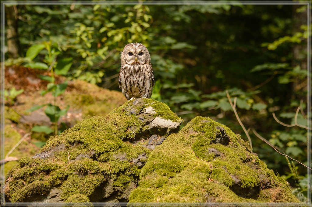 20150822 8291 [NIKON D4] 165 mm,1 800 Sek. bei ƒ   5,6