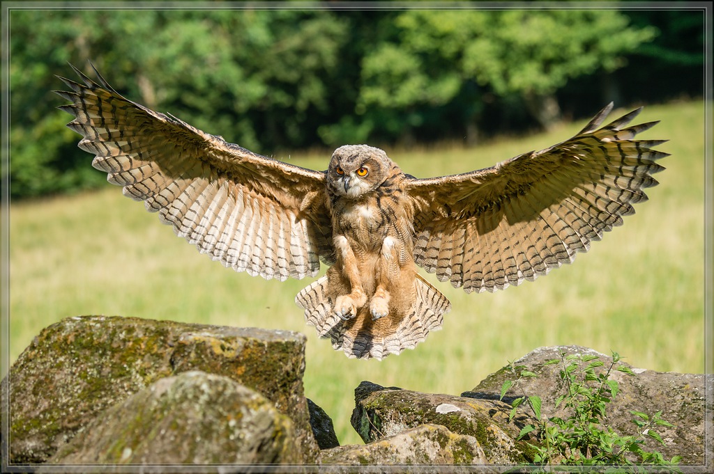 20150822 9120 [NIKON D4] 155 mm,1 640 Sek. bei ƒ   5,0