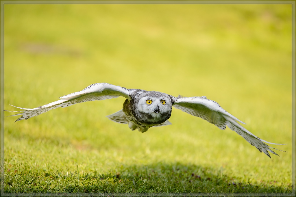 20150822 9355 [NIKON D4] 300 mm,1 1250 Sek. bei ƒ   4,0