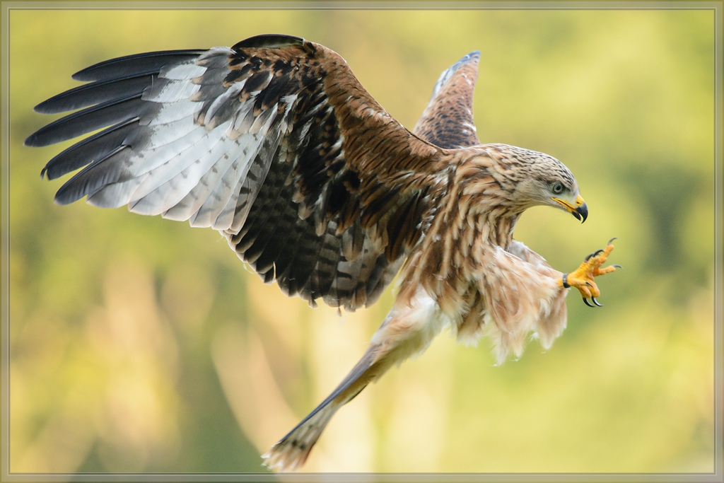 20150822 9606 [NIKON D7100] 300 mm,1 800 Sek. bei ƒ   4,0