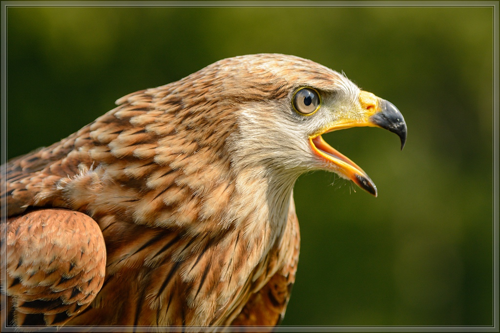20150822 9841 [NIKON D7100] 210 mm,1 640 Sek. bei ƒ   5,3