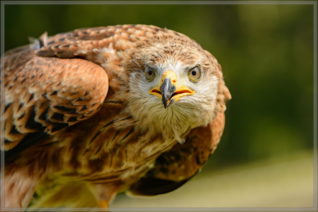 20150822 9848 [NIKON D7100] 210 mm,1 640 Sek. bei ƒ   5,3
