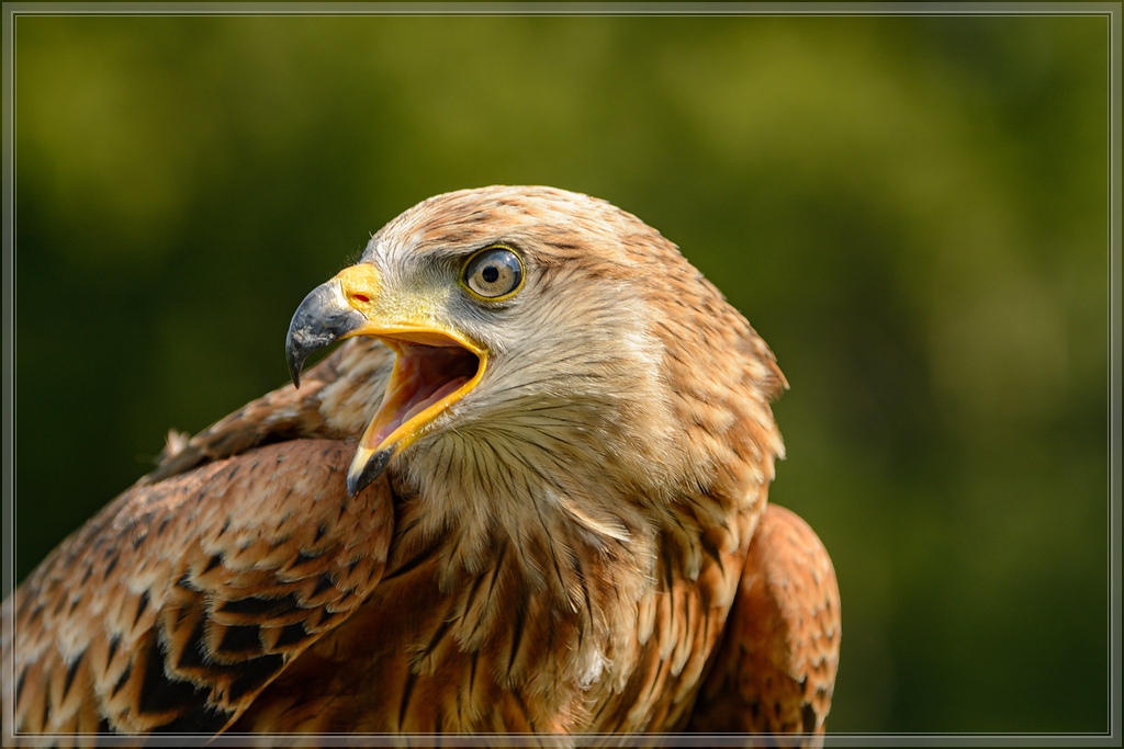 20150822 9855 [NIKON D7100] 210 mm,1 640 Sek. bei ƒ   5,3