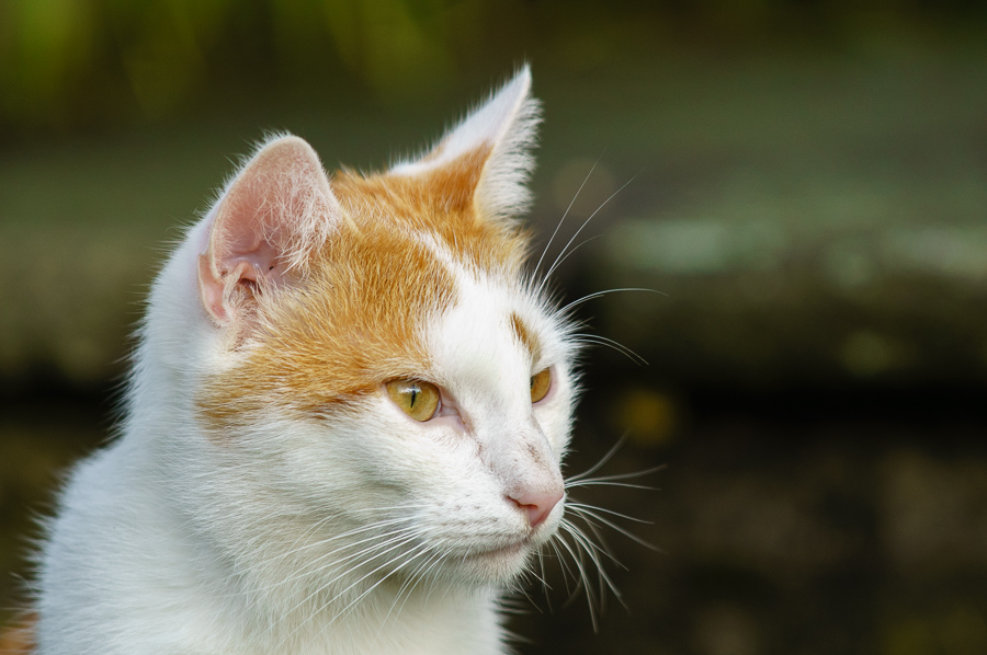 20150905 DSC02330