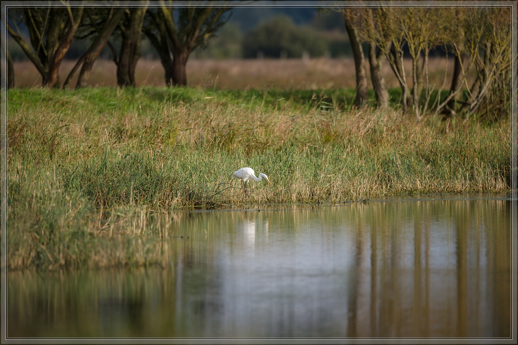 20150920 7276 [NIKON D810] 500 mm,1 500 Sek. bei ƒ   4,0 2