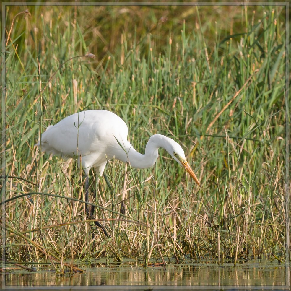 20150920 7276 [NIKON D810] 500 mm,1 500 Sek. bei ƒ   4,0