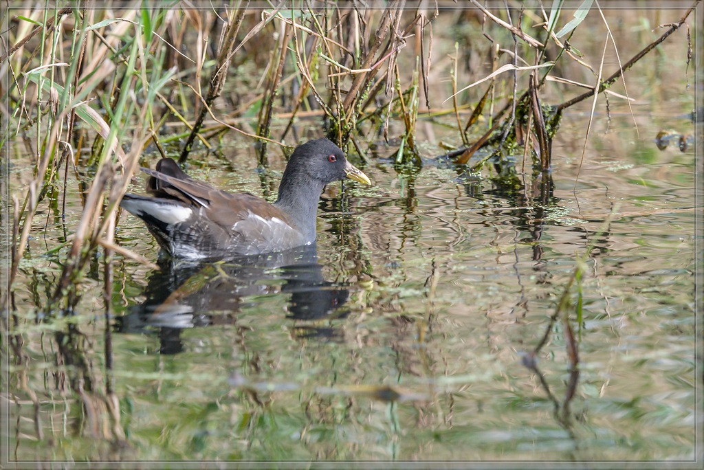 20150920 7452 [NIKON D810] 500 mm,1 500 Sek. bei ƒ   5,0