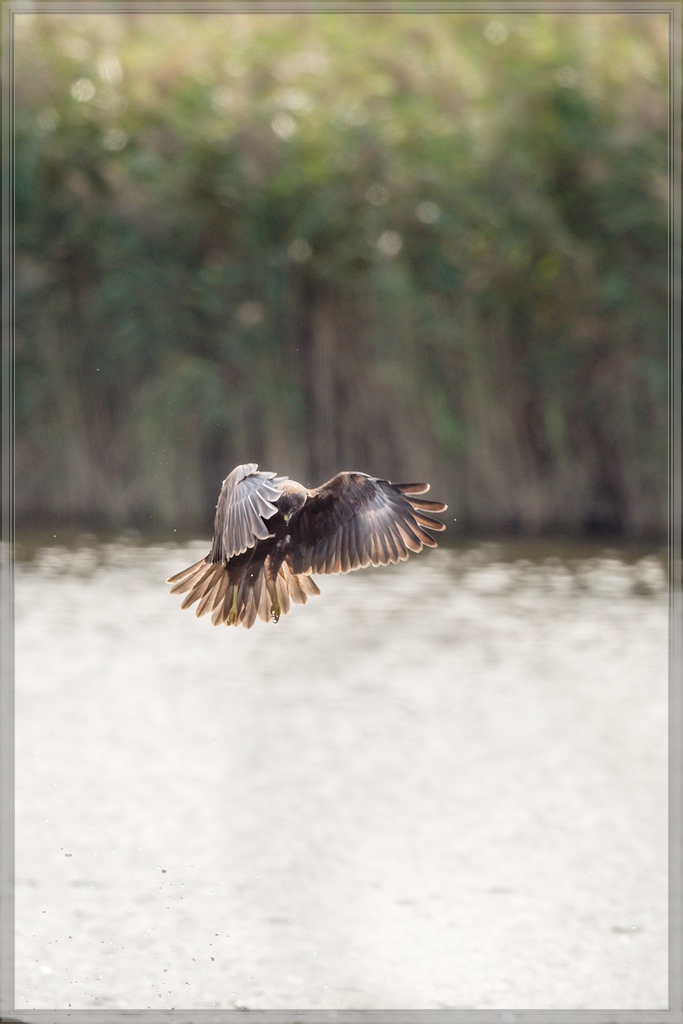 20150920 7604 [NIKON D810] 500 mm,1 1000 Sek. bei ƒ   4,0
