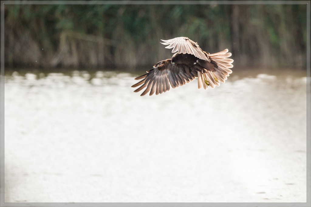 20150920 7606 [NIKON D810] 500 mm,1 1000 Sek. bei ƒ   4,0