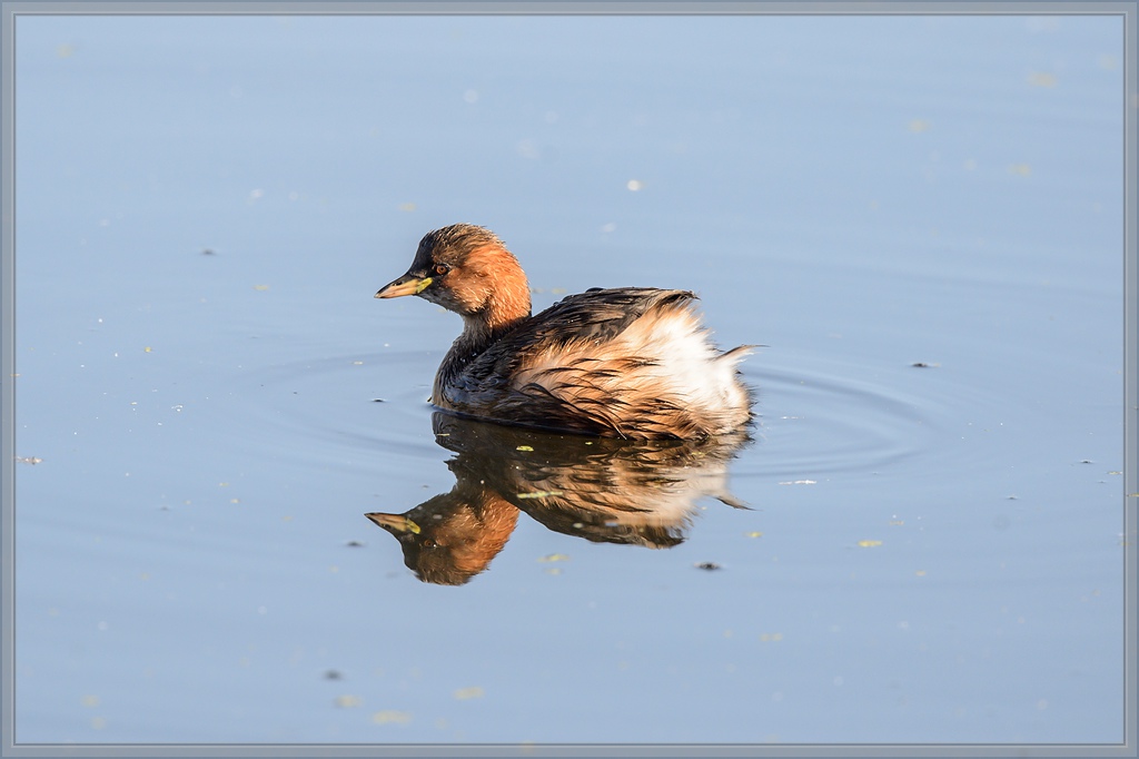 20150926 9989 [NIKON D4] 700 mm,1 800 Sek. bei ƒ   6,3