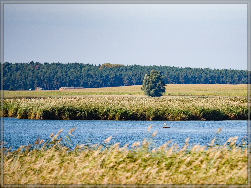 20151002 2752 [E M5MarkII] 150 mm,1 5000 Sek. bei ƒ   2,8