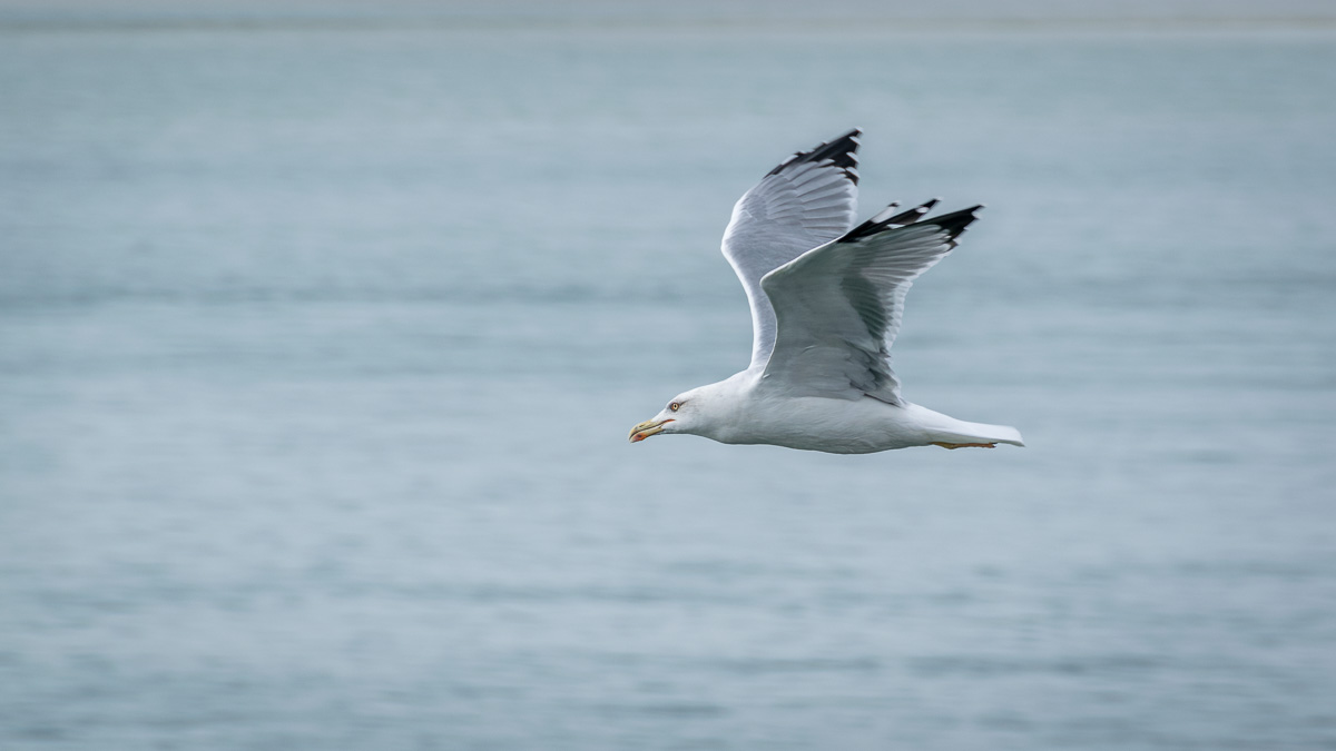 20151002-DSC_1136.jpg