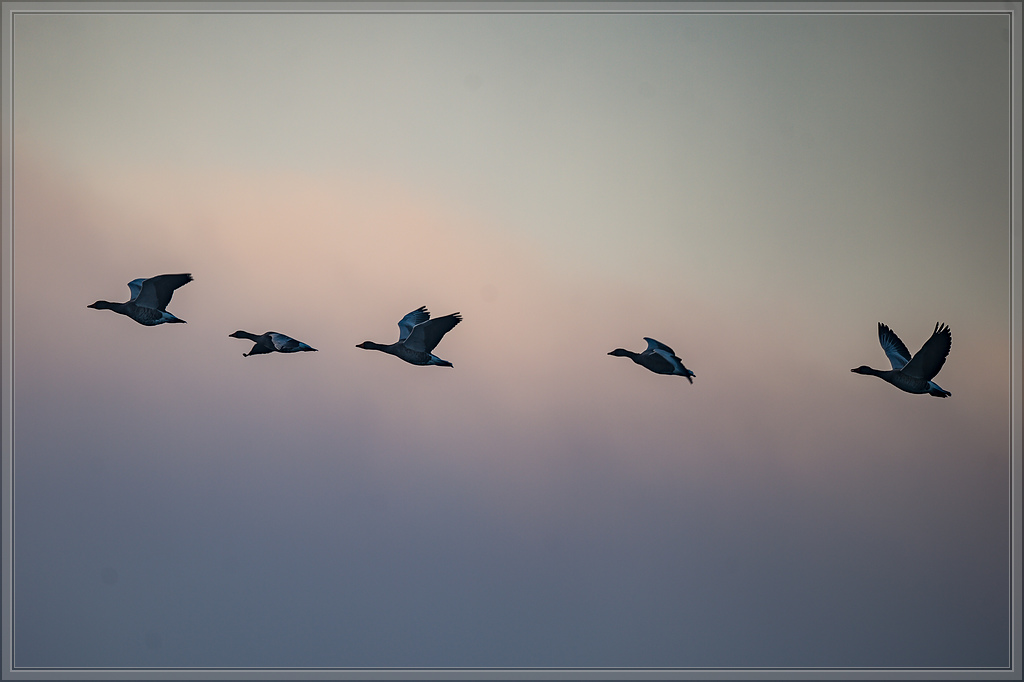 20151003 0134 [NIKON D4] 500 mm,1 800 Sek. bei ƒ   4,5