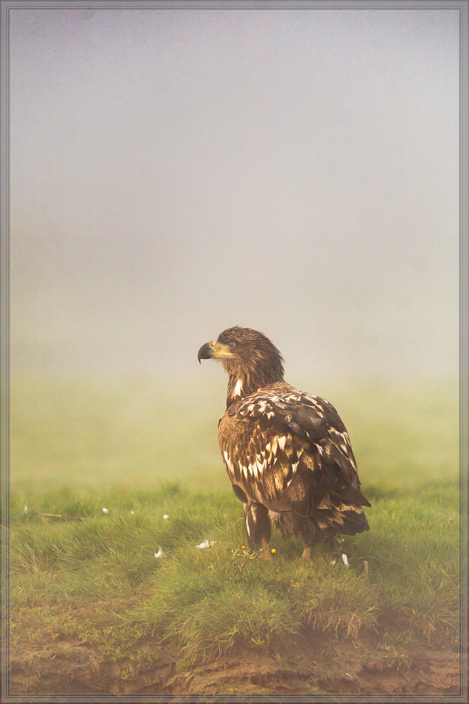 20151003 0172 [NIKON D4] 500 mm,1 500 Sek. bei ƒ   4,0