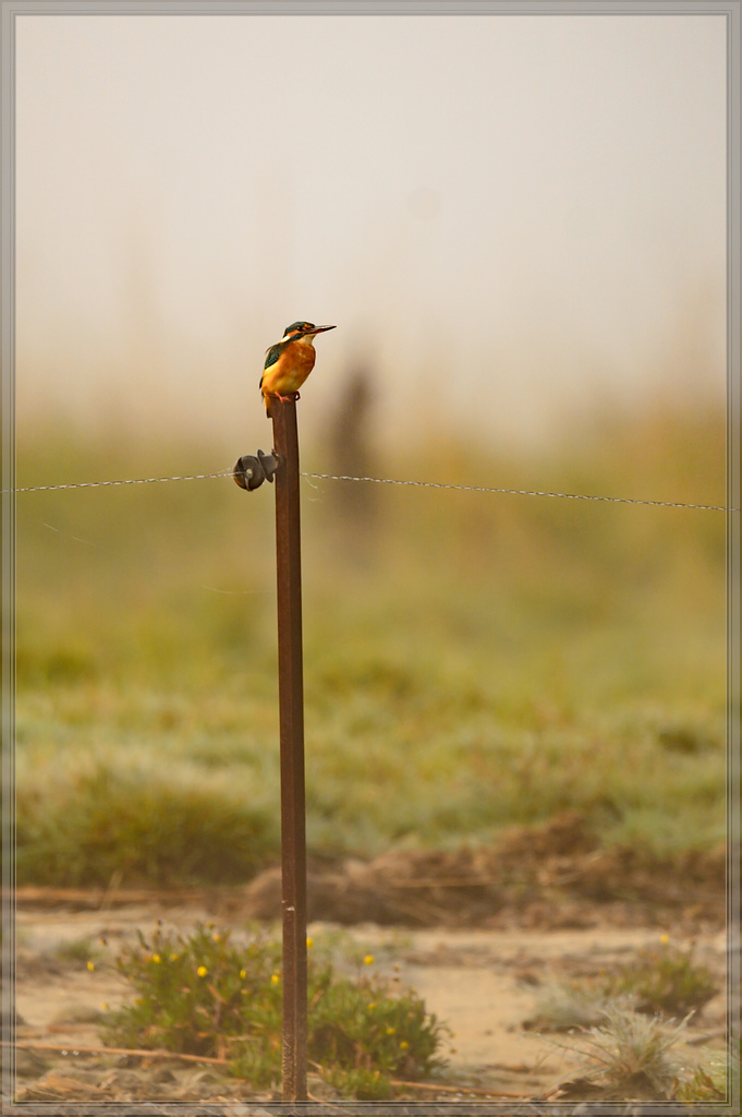 20151003 0203 [NIKON D4] 500 mm,1 640 Sek. bei ƒ   4,0