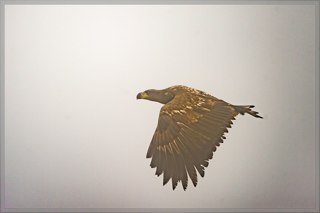 20151003 0236 [NIKON D4] 700 mm,1 800 Sek. bei ƒ   5,6