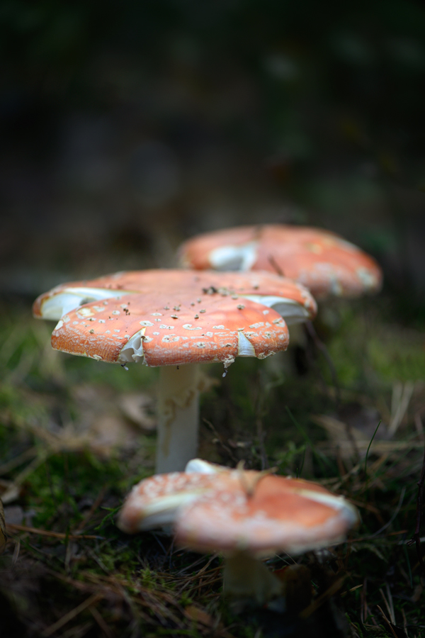 20151003 153548