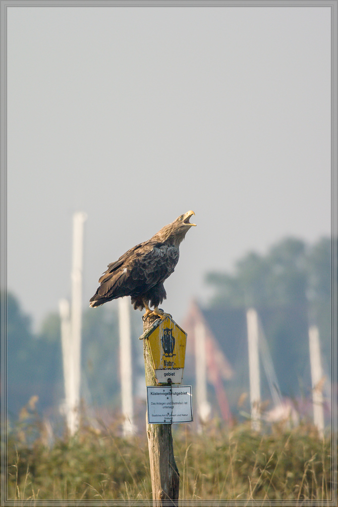 20151004 4633 [NIKON 1 V3] 300 mm,1 800 Sek. bei ƒ   4,0
